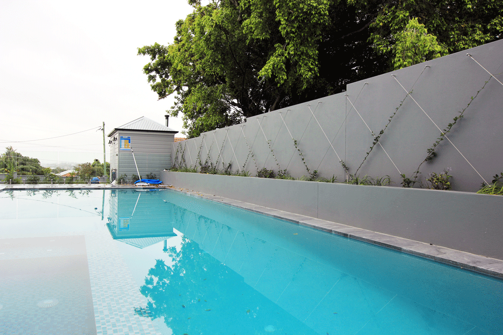 Garden Trellis Next To Pool